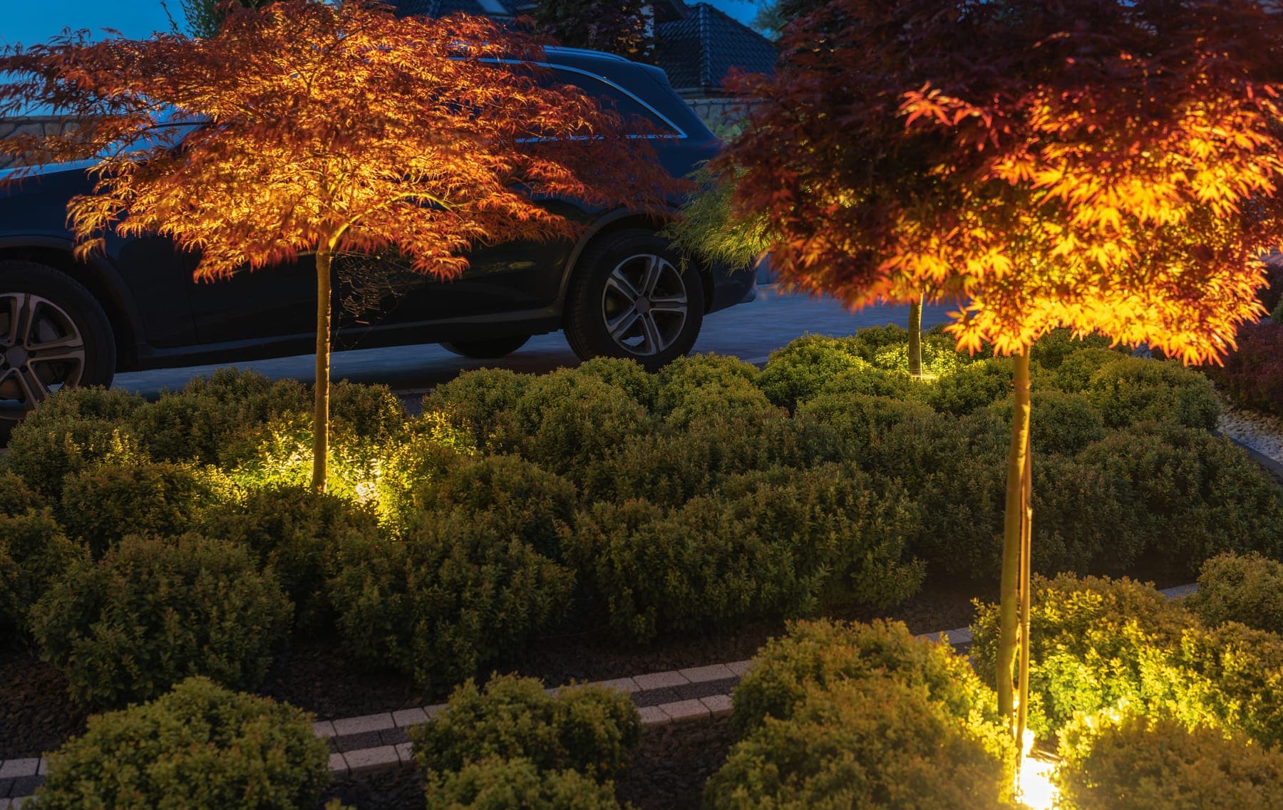 Illuminated landscape lighting on a Tampa home